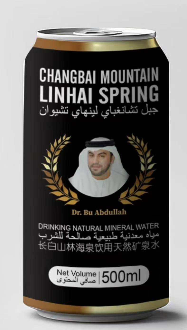 长白山林海泉饮用天然矿泉水 500ml 囤货必备